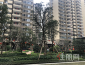 华润、龙光两大盘交付! 一盘2年房价涨了2500元/㎡, 赚了25万! 业主笑了!