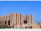 冬韵渐浓，大城已成，呈启“家”书待君归