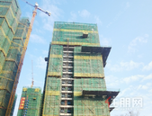 云星钱隆御园｜11月家书，初冬寒意浓，家书暖“星”至。