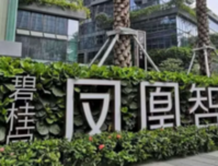 24小时在线｜“战疫”不松懈，碧桂园凤凰智谷在线“云招商”正式启动！