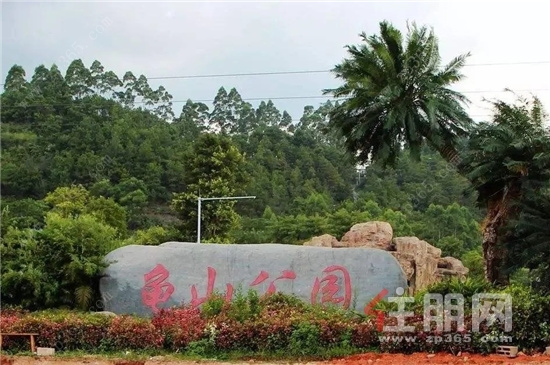 龟山公园实景.jpg