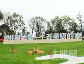 碧桂园区域大精简 行业波动下头部房企掀人事换防潮