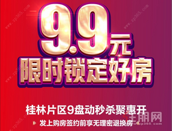 9.9元限时锁定好房源 碧桂园9盘动**聚惠开