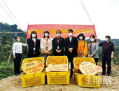 共克时艰！柳州联发暖春公益助农行动