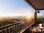 2020年2月*强“旅游攻略”，请收下！