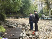 柳州一小区泉眼冒出黑臭水 熏得居民头昏昏