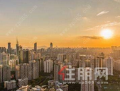 抗疫影像 一夜间百城出台的土地政策