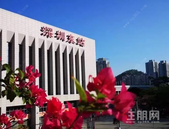 深圳**东进蓝图**曝光！10大交通枢纽+5条轨道+8条高快速路要来了！