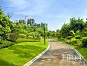 疫情让这类房子意外走红？现在知道还不晚！