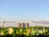 盘点贵港热销楼盘，快来围观有没有你中意的！