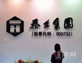 泰禾集团财务总监姜明群辞任 泰禾投资董事王伟华接任