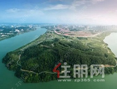 紫色花海怒放邕江南岸 南宁*美的春色在这里！