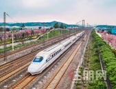 广西宁铁石化将在柳州铁路港建综合性大型加油站