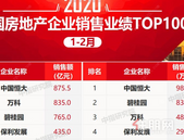 2020年1-2月房企销售业绩TOP100