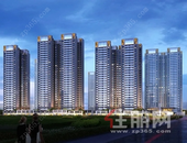 【阳光城文澜府】待疫情结束后，你*想做的**件事是什么？