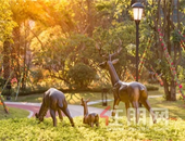 秒转！半山华府春季"赏花攻略"，开启你的自然生活