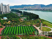 广西计划筹金663亿 实施34项惠民项目