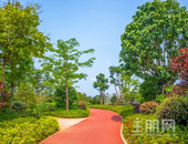 贵港的这些生态大盘，您可千万别错过！