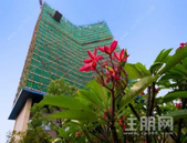 龙光地产：发展绿色建筑 匠心精筑美好生活