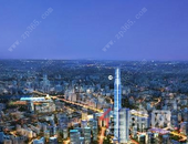 楼市松绑都是暂时调控，住房不炒才是真正主旨