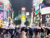 新政频出，楼市回暖！投资置业正当时