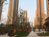 3万抵6万、10万抵15万 你买房被团购费坑过吗？