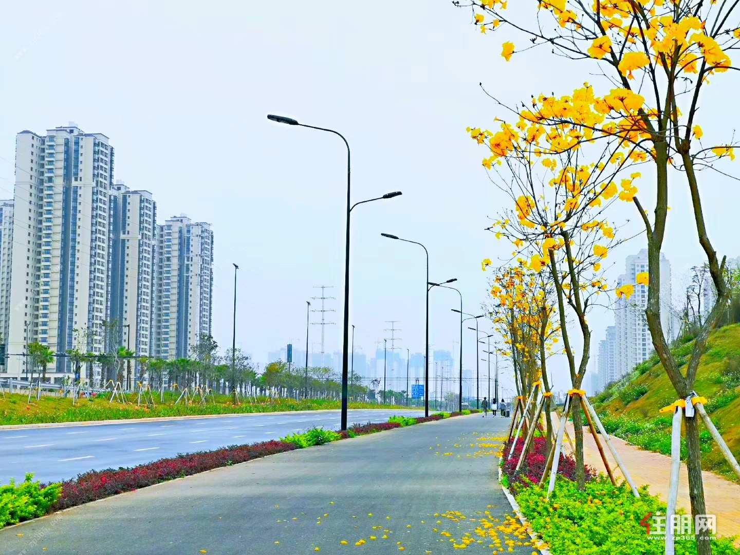项目周边实景图.jpg