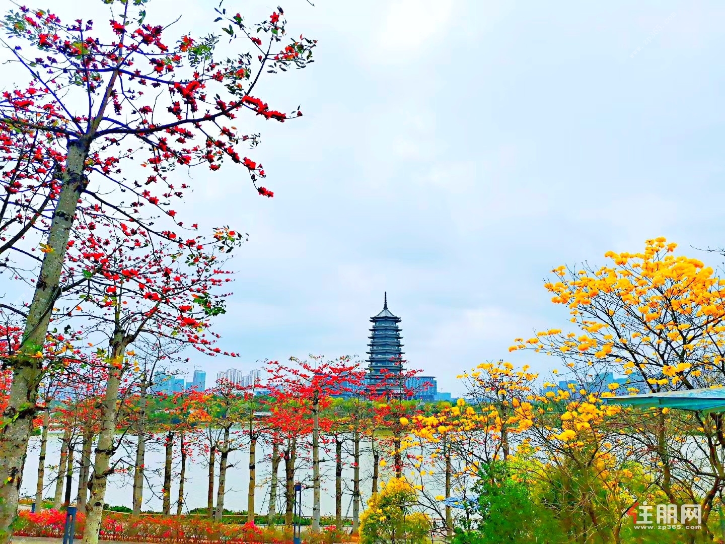 荣和半山华府周边实景图.jpg