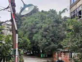 连续几个月24小时长亮现在漏电  柳州鹅岗路一小区路灯啥情况？