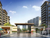 好洋房 云星造|不是所有洋房都是真洋房