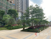 4月家书 | 人间正是芳菲始，一纸家书鉴美好