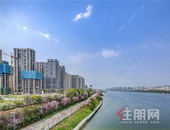 绿城杨柳郡新一期工进：棕榈苑8#楼封顶