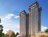 南宁龙湖金科盛天叁仟悦准现房清盘中，抢占收官季！