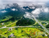 在**季度GDP下降的情况下，广西怎样稳住上半年？政策来了...