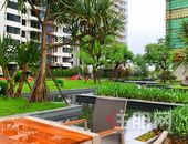 大境盛启·悦鉴未来丨鑫炎·梧桐院实景园林，五一盛大开放！