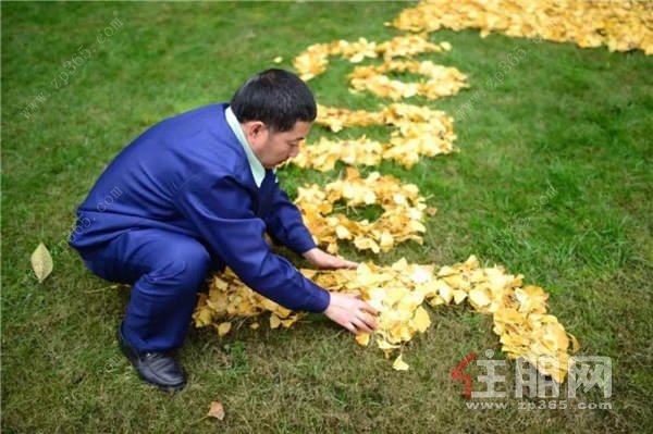 图片3.jpg