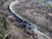 这条时速350公里高铁有了新进展