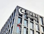 紧抱绿城“大腿” 新湖中宝能否获救？