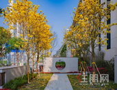 随手一拍就是大片！凤岭北这个新晋网红打卡地藏不住了