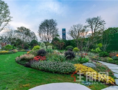 首期8万起，抢央企学府品质红盘