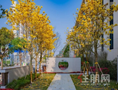 "五一"南宁心动打卡点! 这里太让人觉得幸福了!