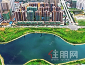 江南“网红”大盘推新再度升级!一路热销，魅力不减！