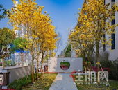 五月南宁网红打卡点! 这个盘美翻了! 业主和员工们幸福和快乐感爆棚!