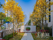 五月南宁网红打卡点! 这个盘美翻了! 业主和员工们幸福和快乐感爆棚!