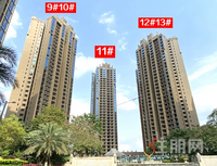 你想买的金色维也纳，6月底交房在即