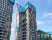 碧桂园·中央上城丨5月家书,万般美好皆可期!