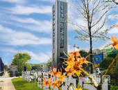 碧桂园·城市之光丨初夏临，家书传——致家人