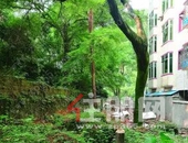 桂林这个地方曾经的两块荒草地，如今大变样！