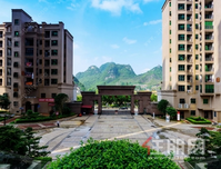 一年一神盘，十年一华府