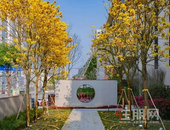 怦然心动! 有颜有实力! 5月, 为何南宁人都来排队打卡这个盘?